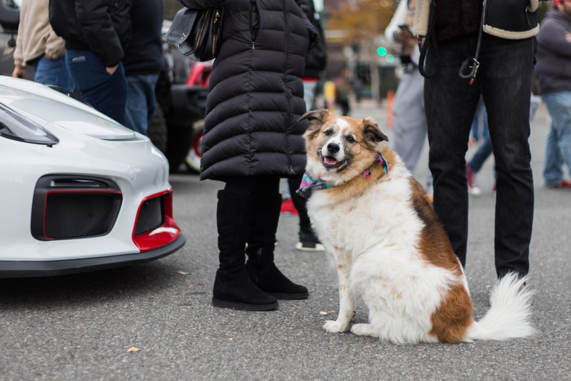 Illustration for article titled Here Is Your Gigantic Jalopnik Hurricane Relief Car Show Photo Gallery